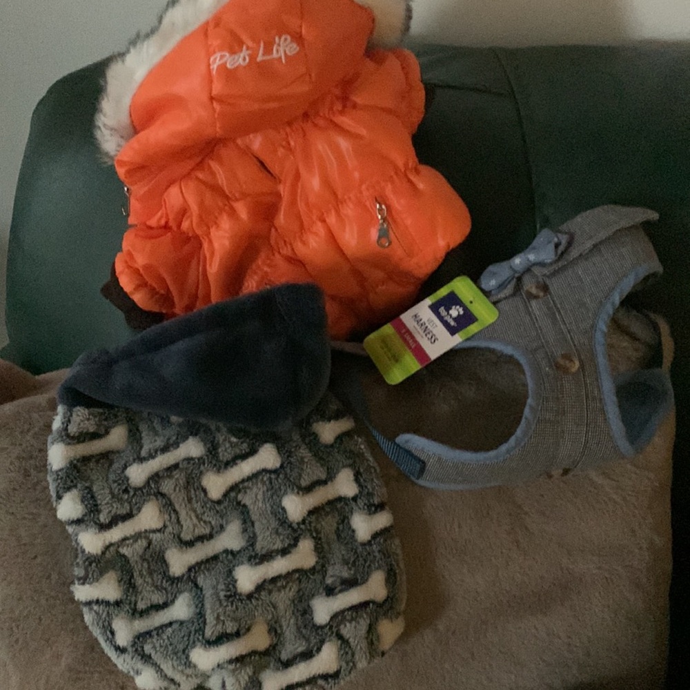 Surprise pet bundles in every size some new or tried on some in wrapping